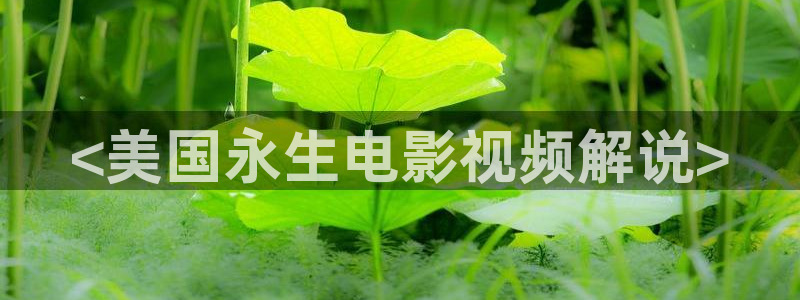 星空无痕mv电影在线观看免费视频
