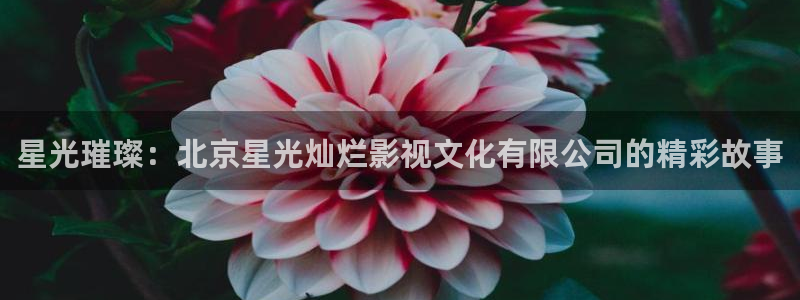 星空影视最新电影
