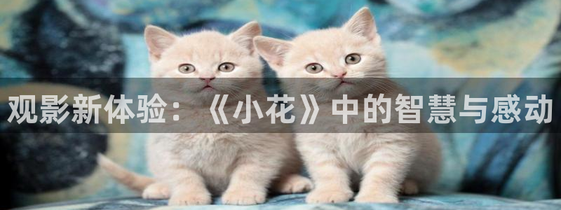 星空视频电影在线观看
