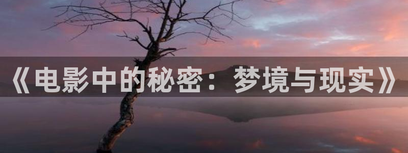 星空视频影视大全观看