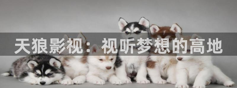 星空影院电视免费观看手机版