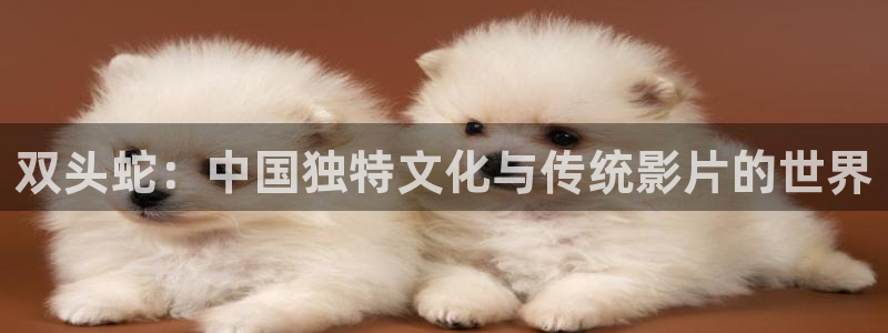星空影院伦理片