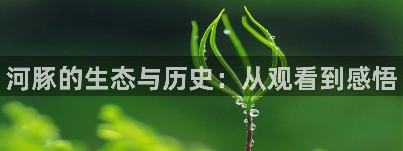 星空影视大全免费观看下载
