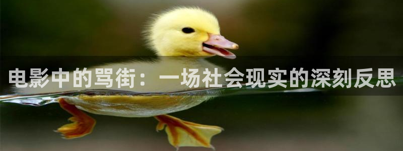 新生星空影视
