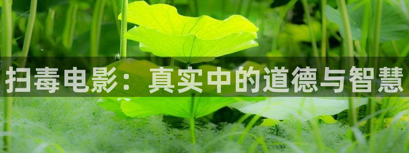 星空影视大全高清版