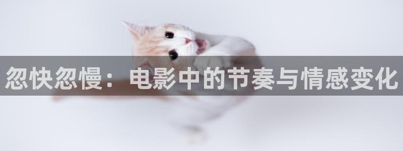 星空影院电视剧免费观看完整版