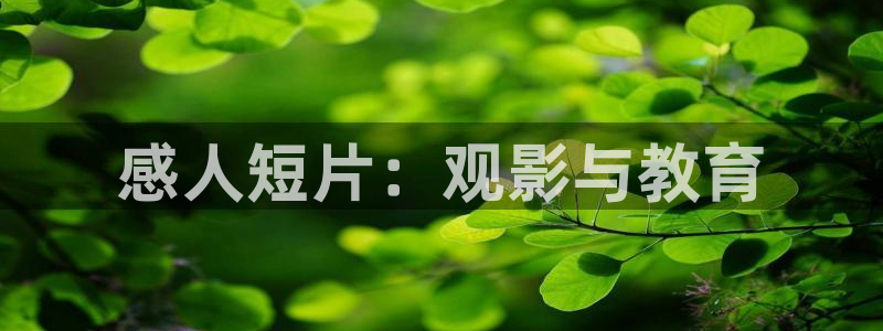 星空影院手机免费下载
