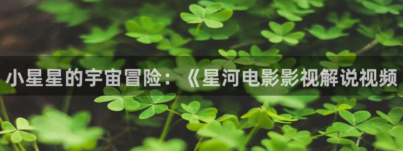 星空传媒 在线观看