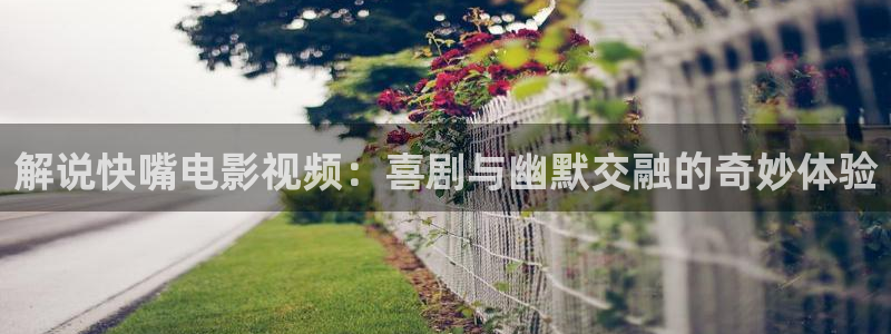 星空在线高清影视大全