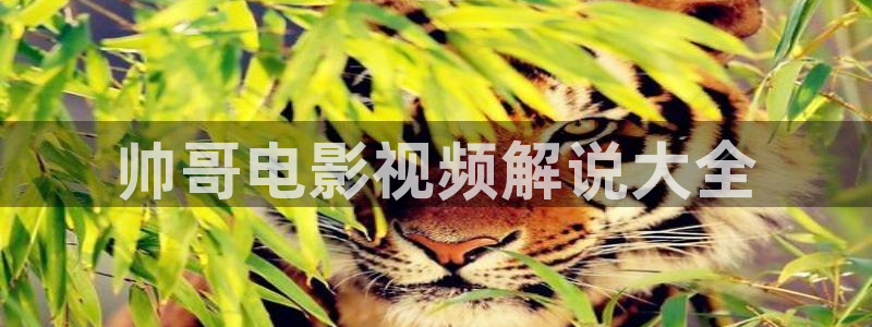 星空传媒免费观看