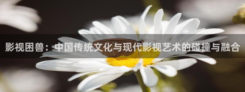 星空影院在线观看免费播放电影